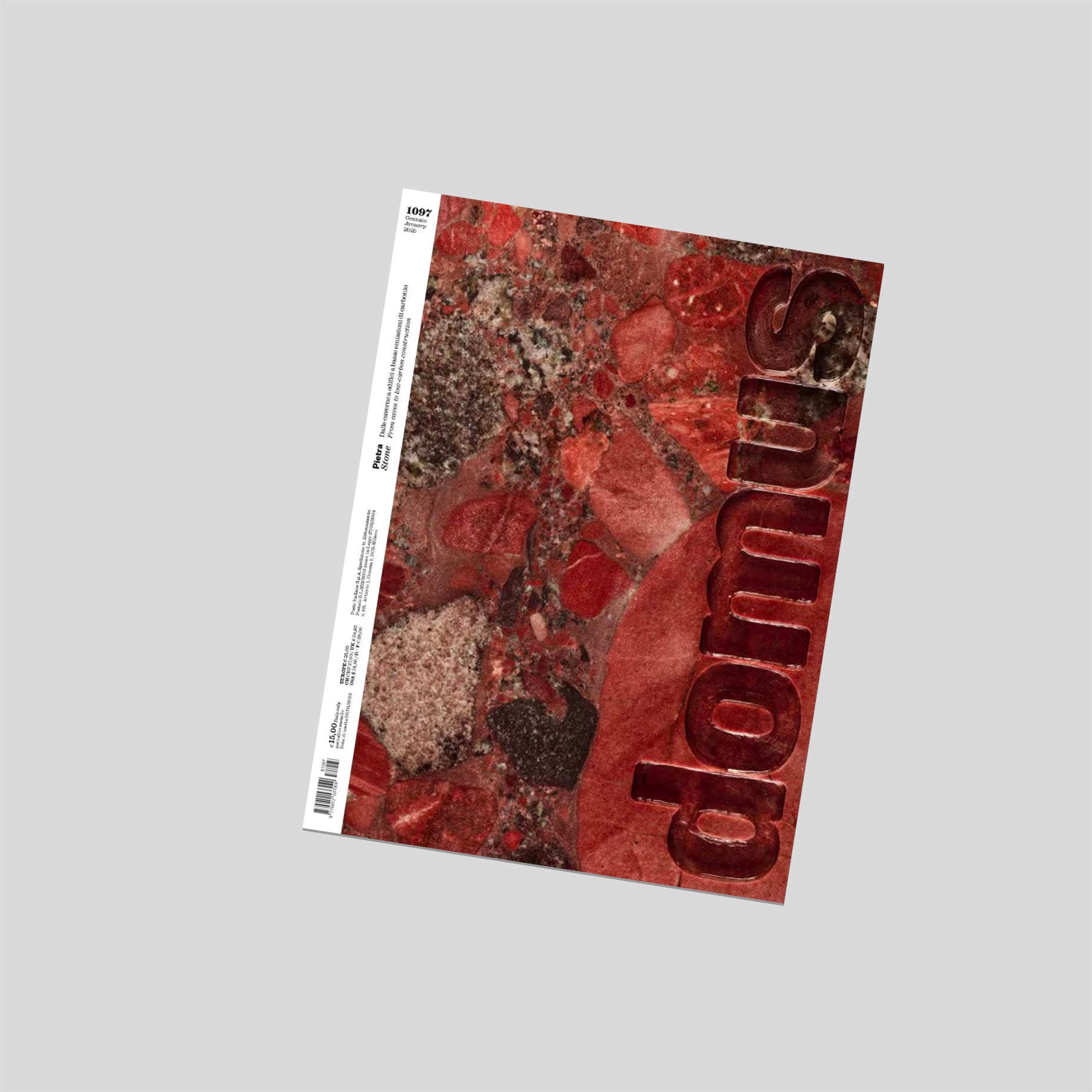 domus 1102 june (2025年6月号) 【特集 : wood】