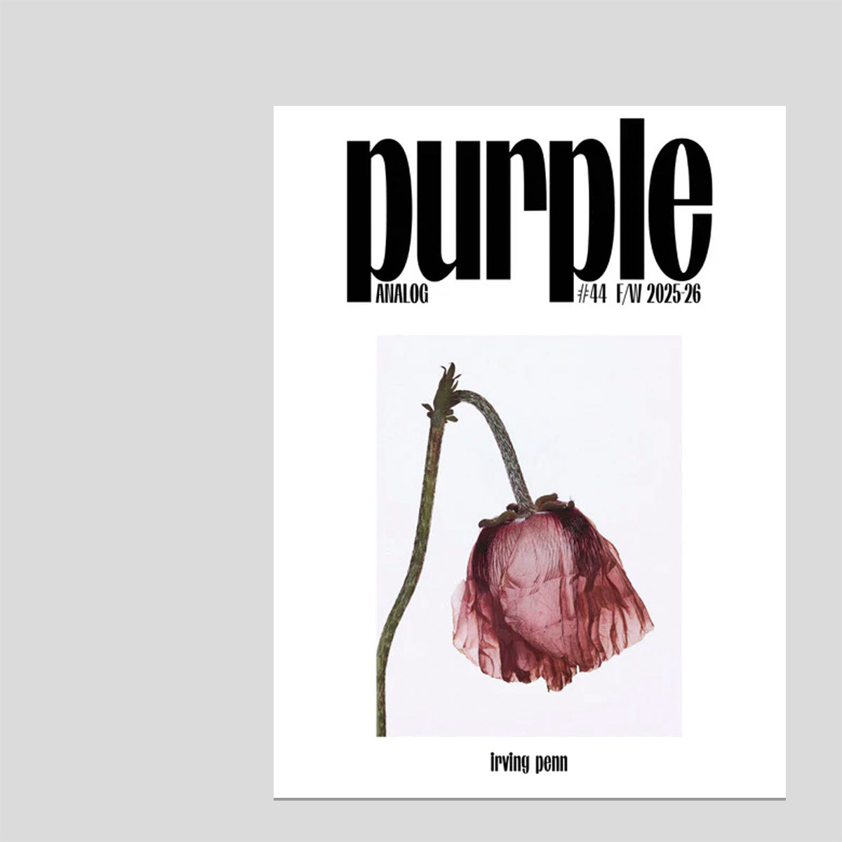 Purple #44 – Cahier Central