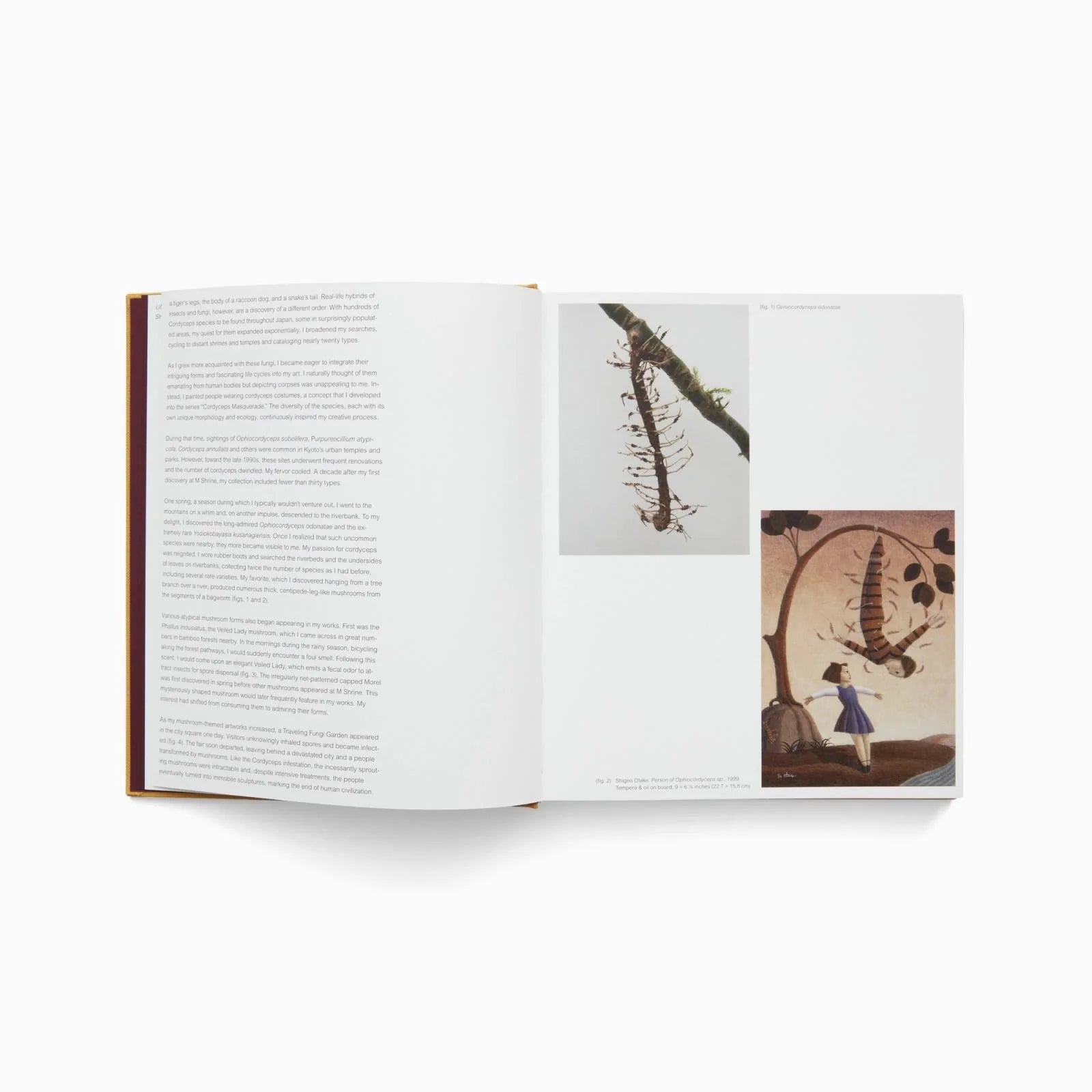 A Dim Cozy Room - Shigeo Otake – Cahier Central