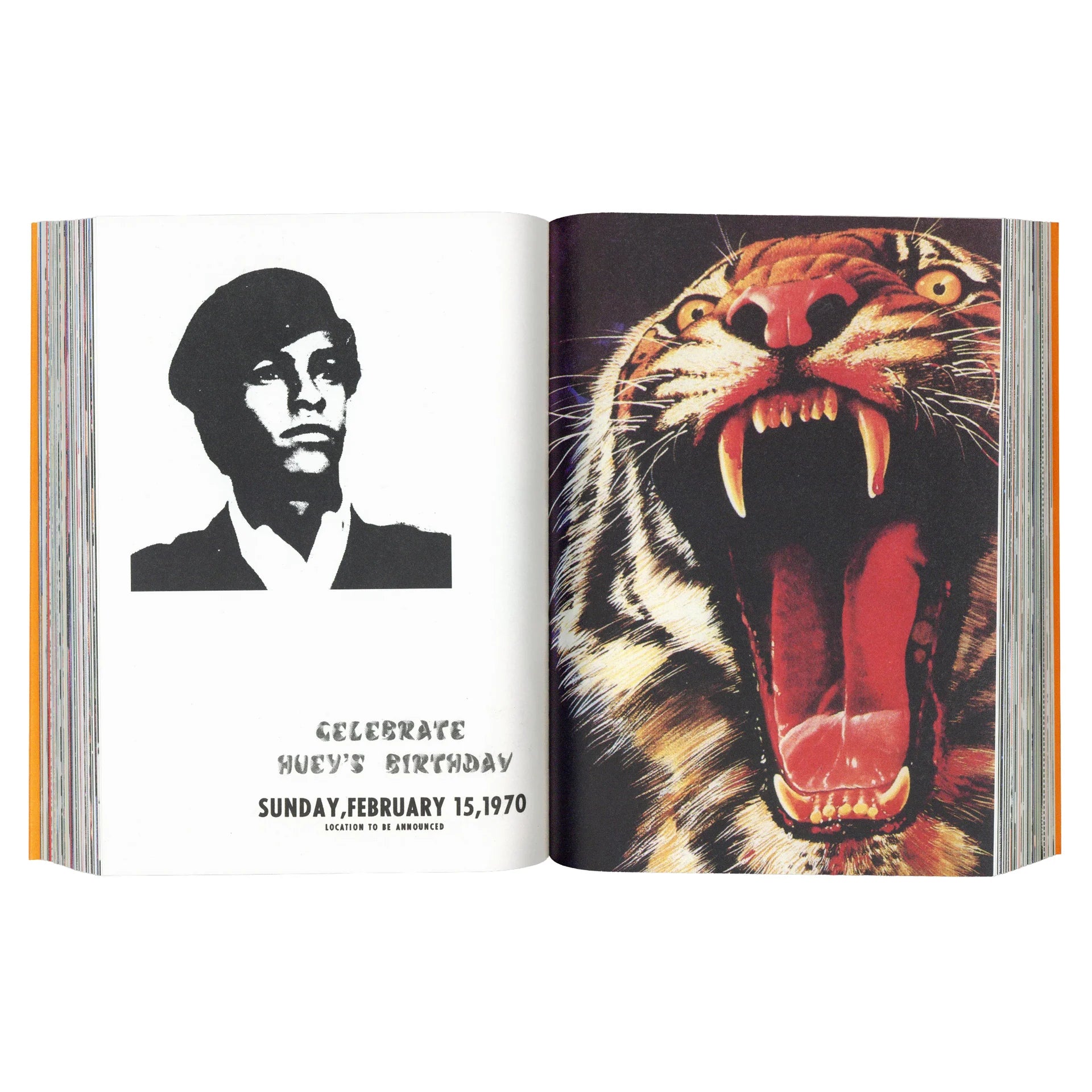 Radical Media Archive vol.1/7