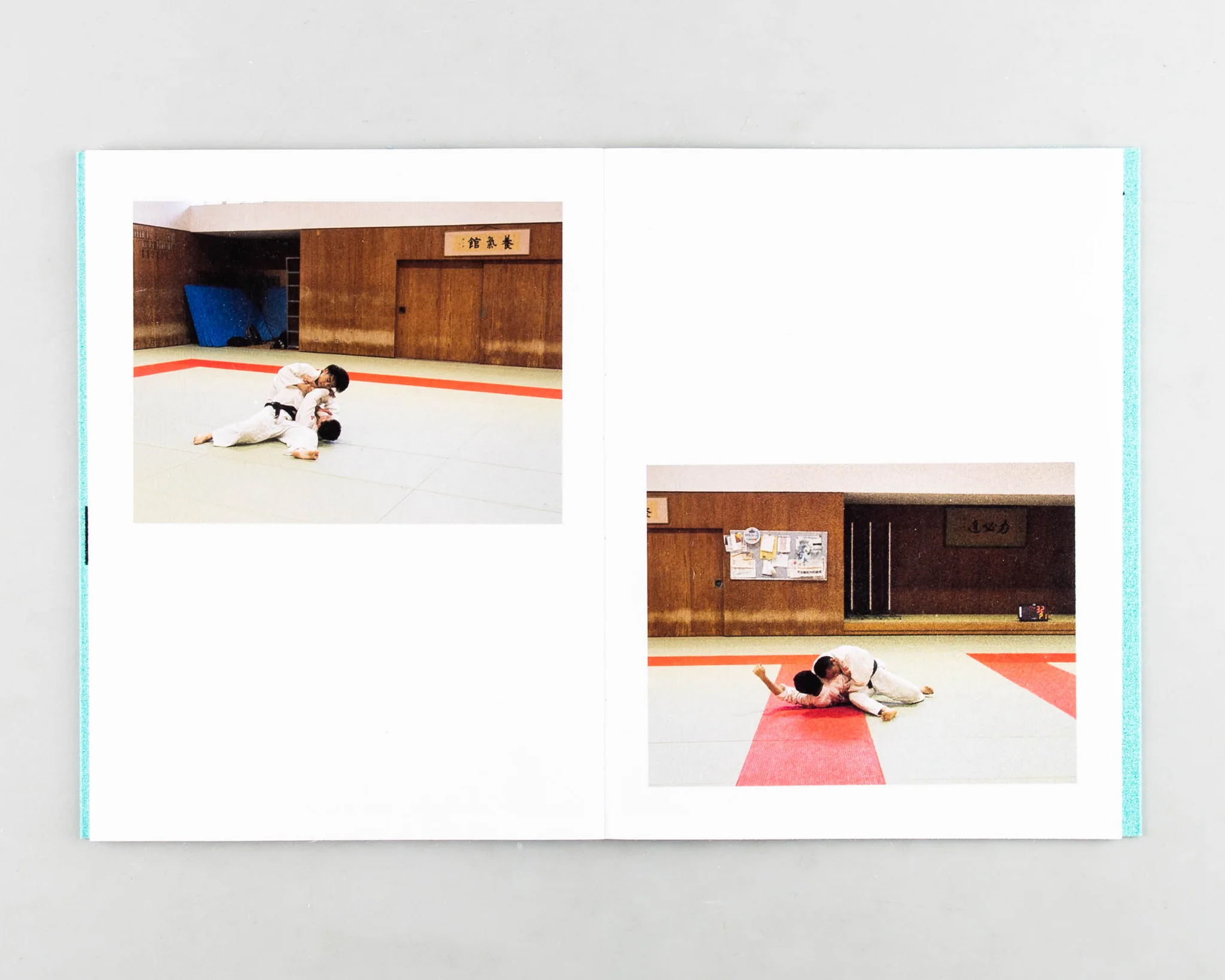 Sumo Judo - Ari Marcopoulos