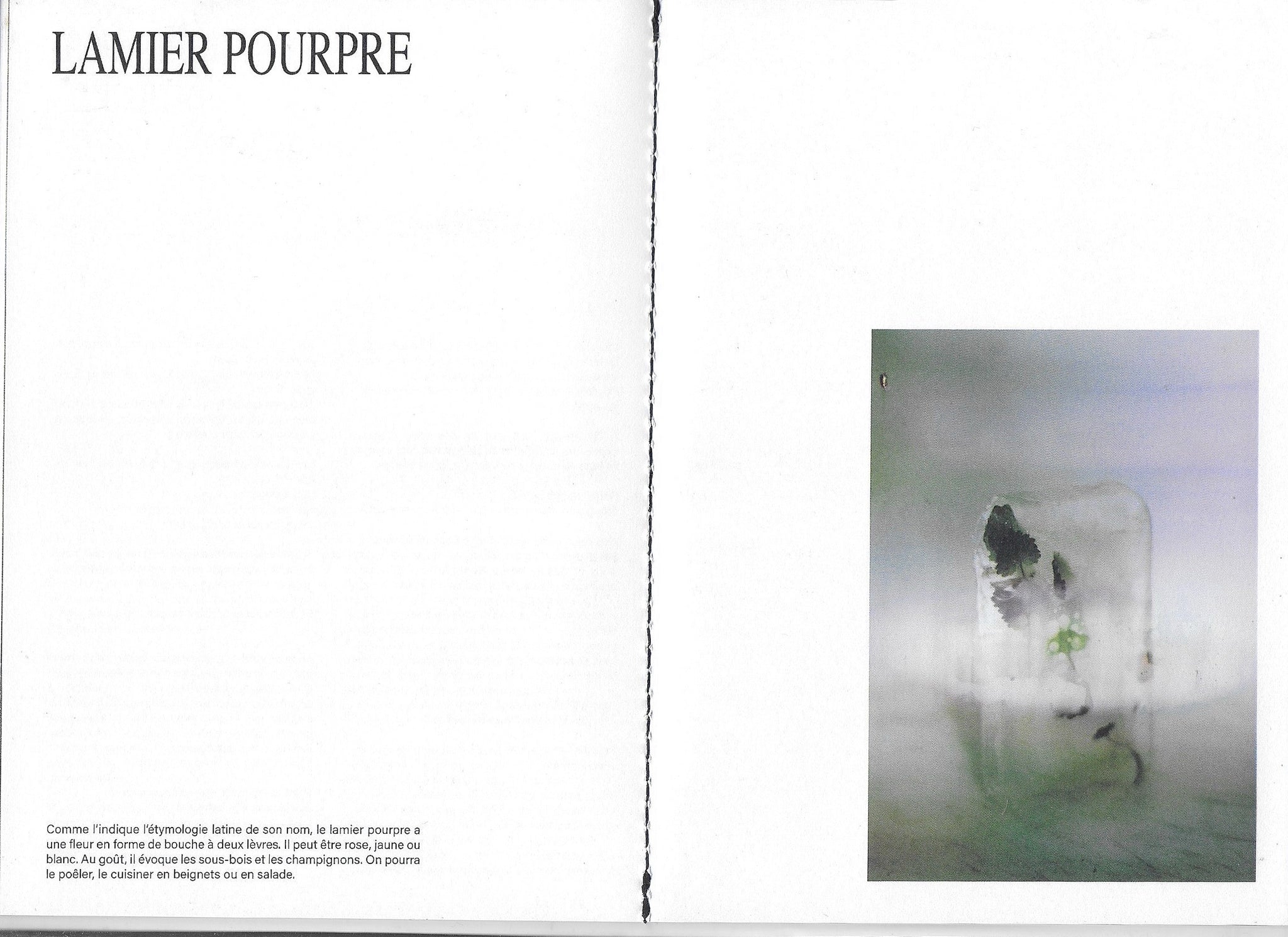 Les herbes Hautes - Flavia Sistiaga