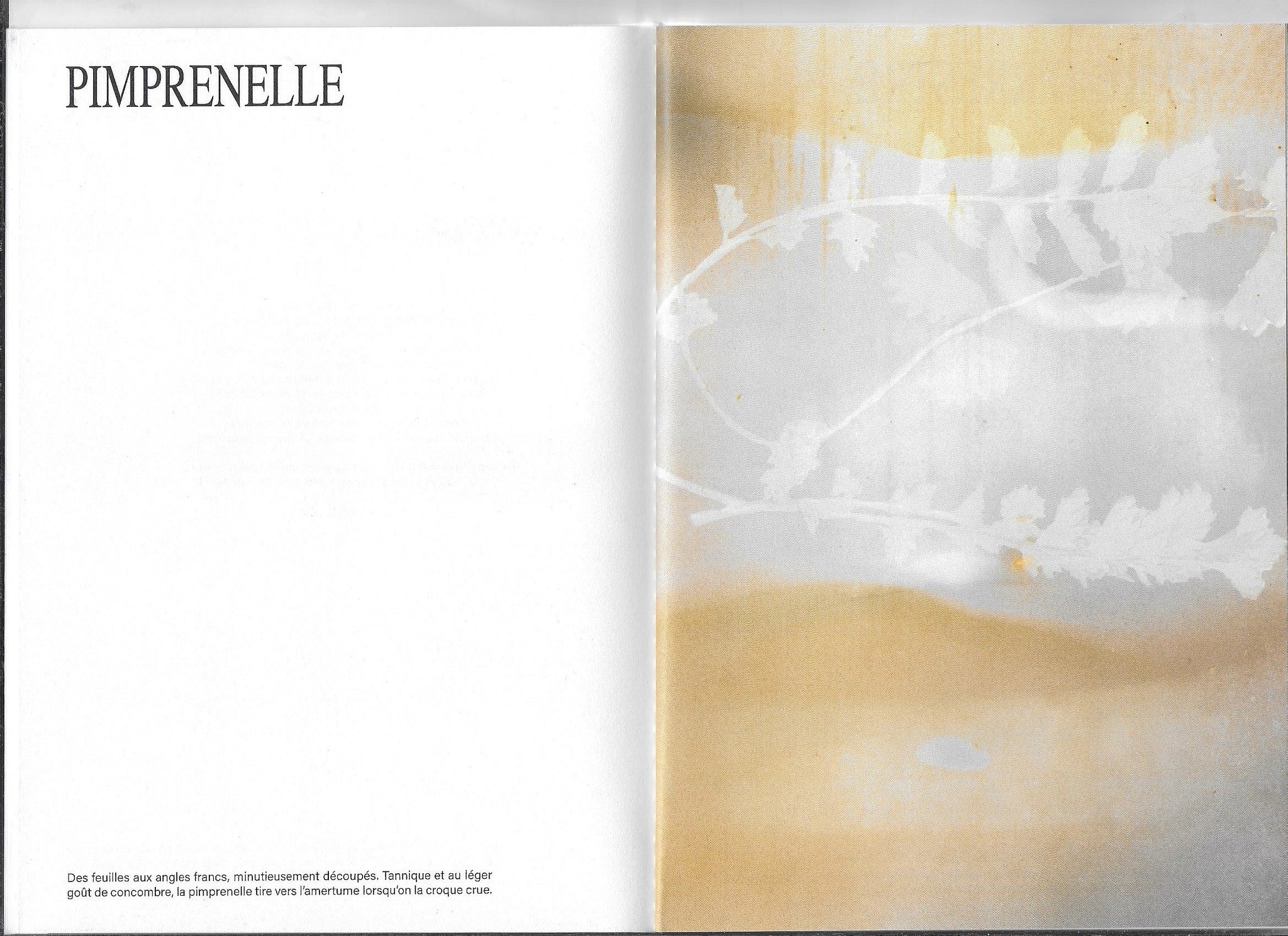 Les herbes Hautes - Flavia Sistiaga