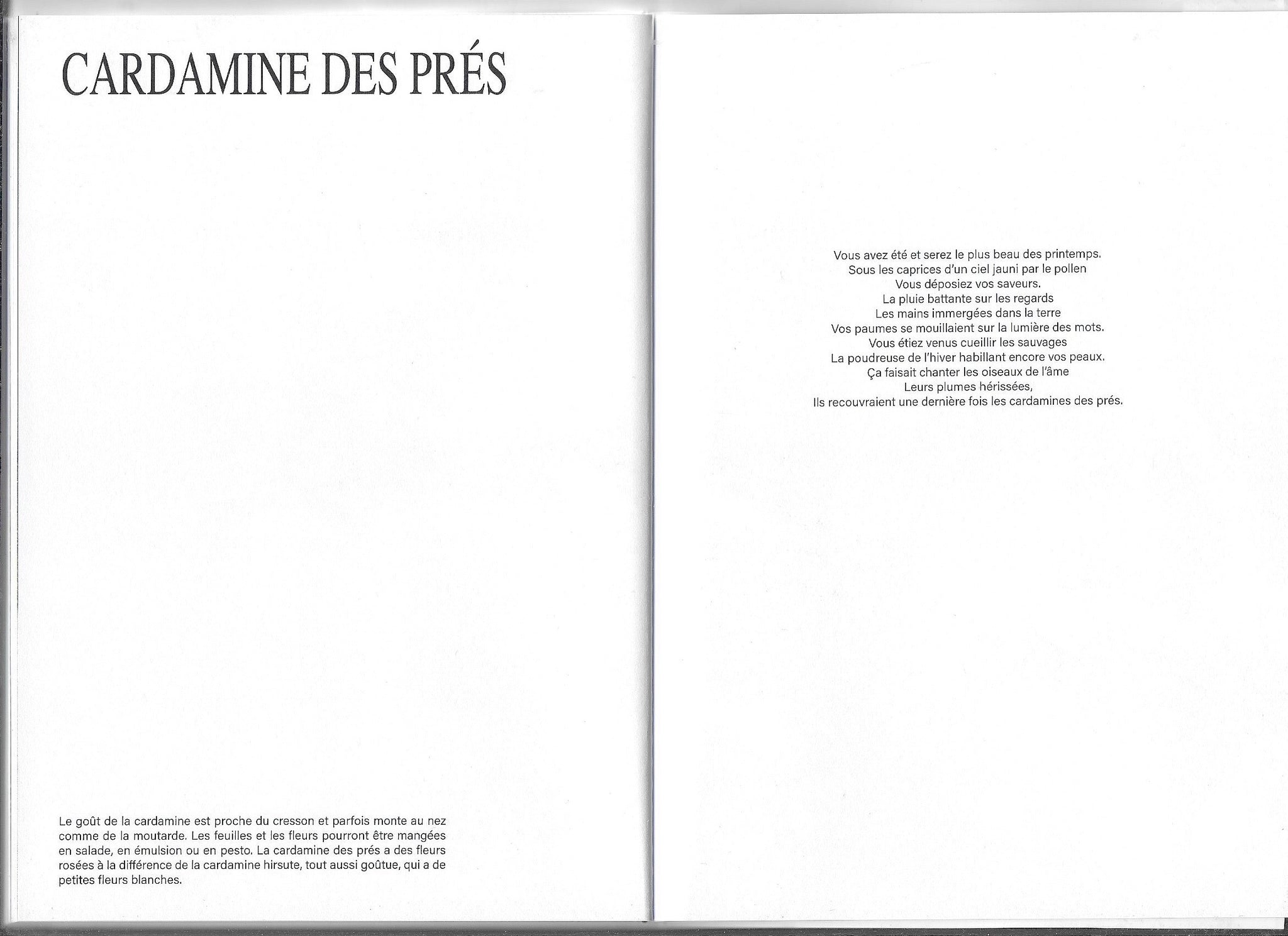 Les herbes Hautes - Flavia Sistiaga