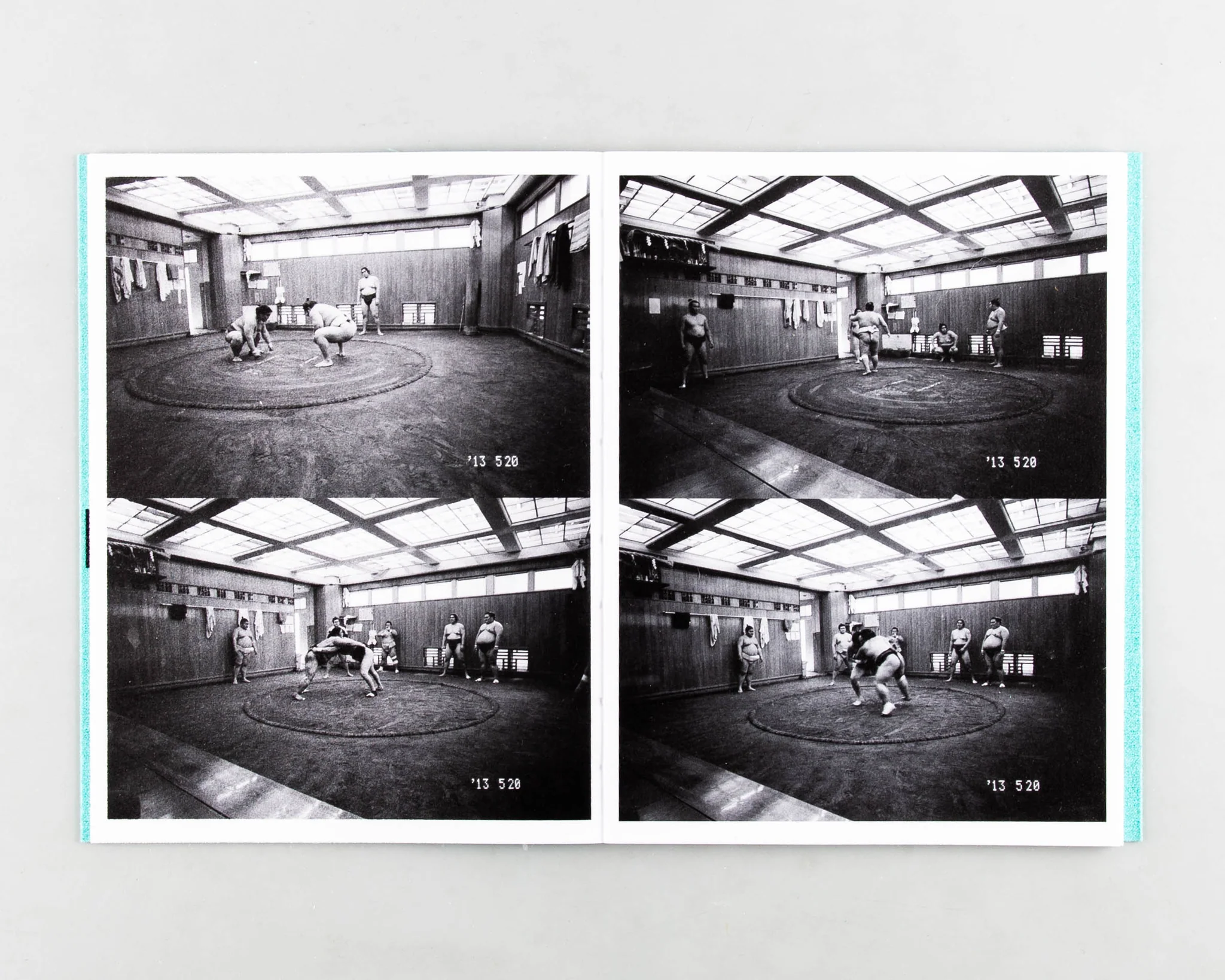 Sumo Judo - Ari Marcopoulos