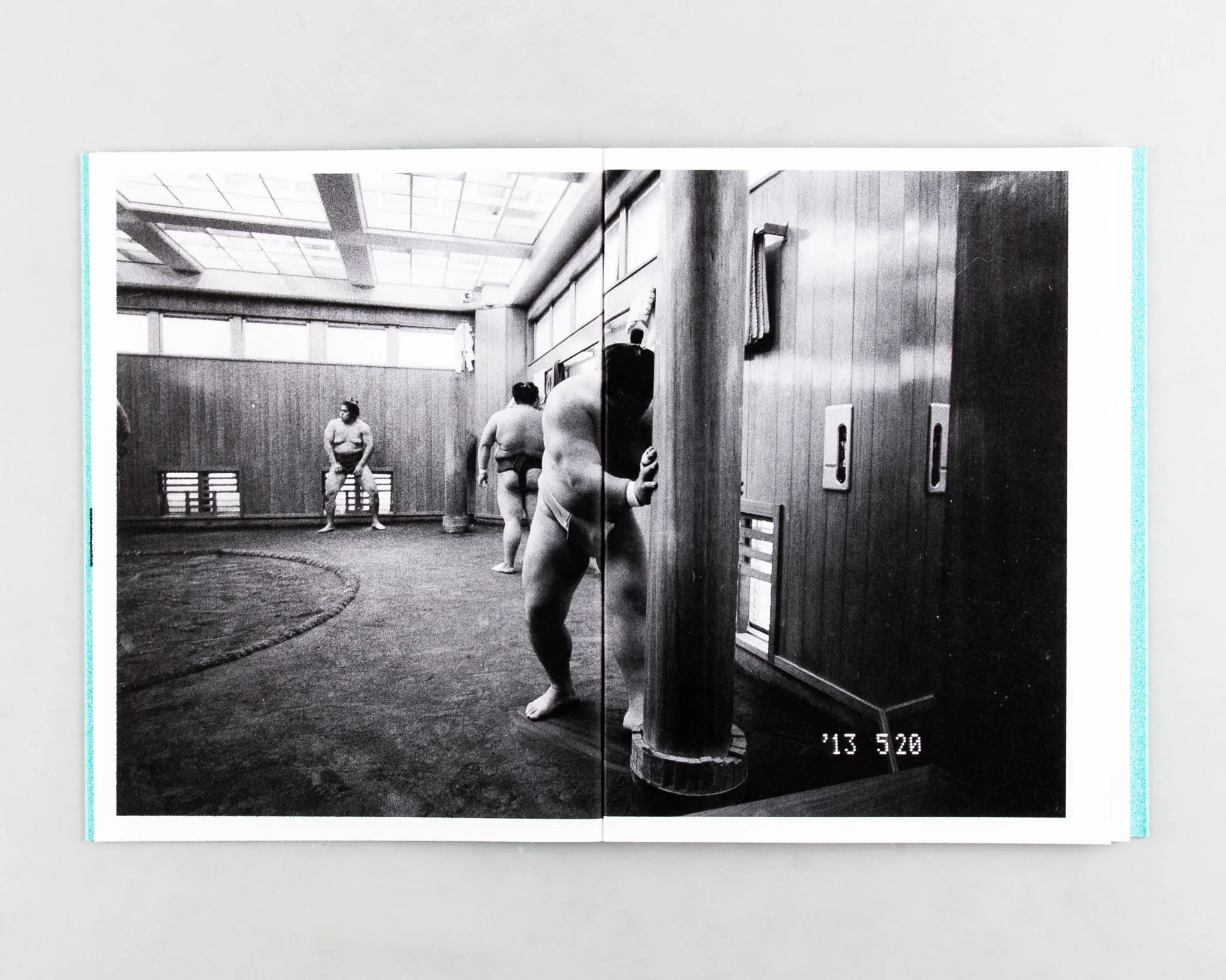 Sumo Judo - Ari Marcopoulos