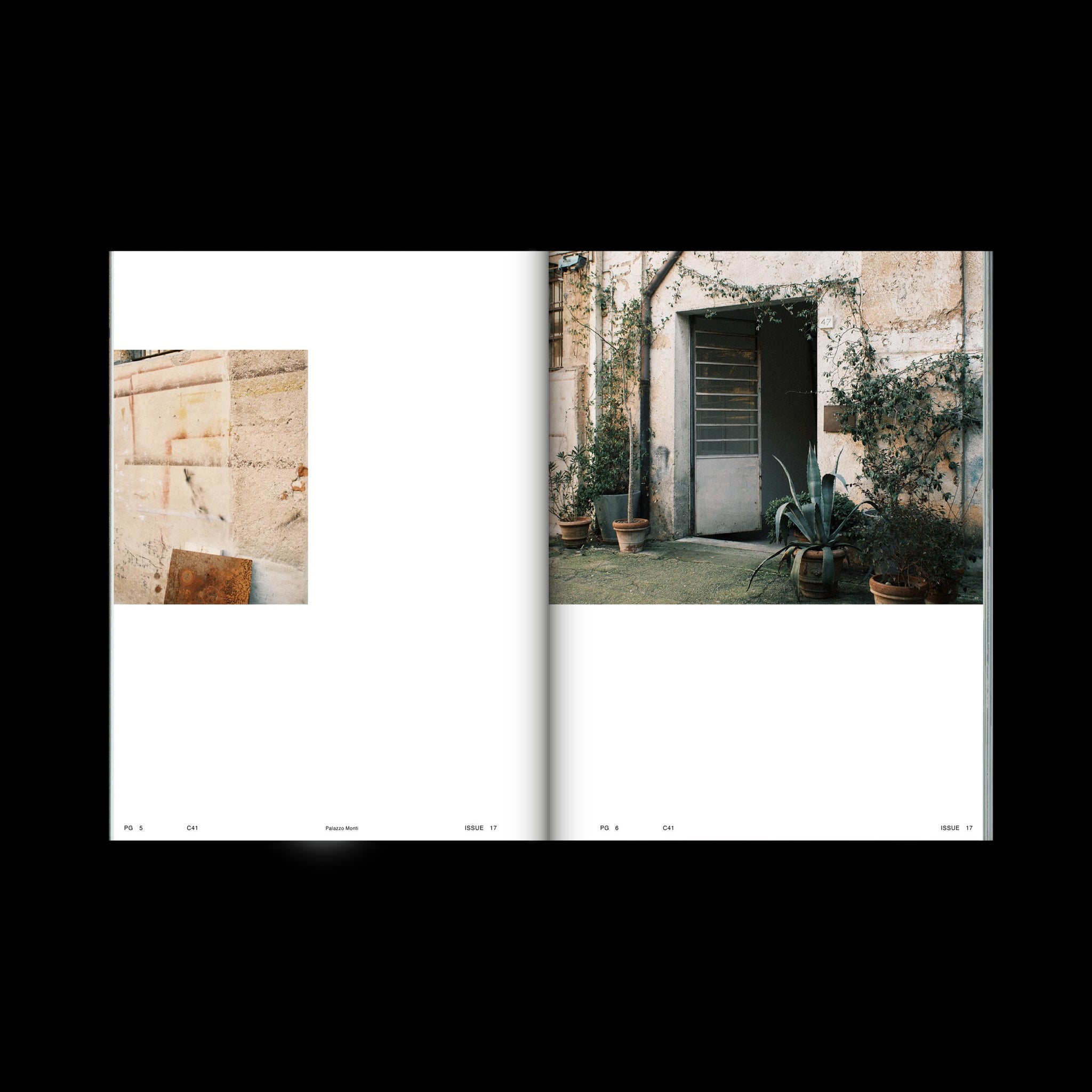 C41 #17