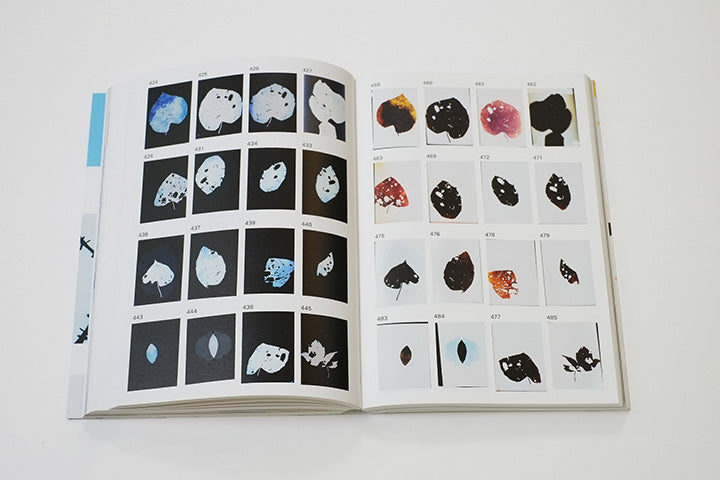 Eva-Fiore Kovacovsky: Feeding on Light