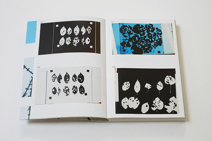 Eva-Fiore Kovacovsky: Feeding on Light