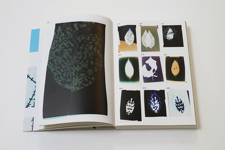 Eva-Fiore Kovacovsky: Feeding on Light