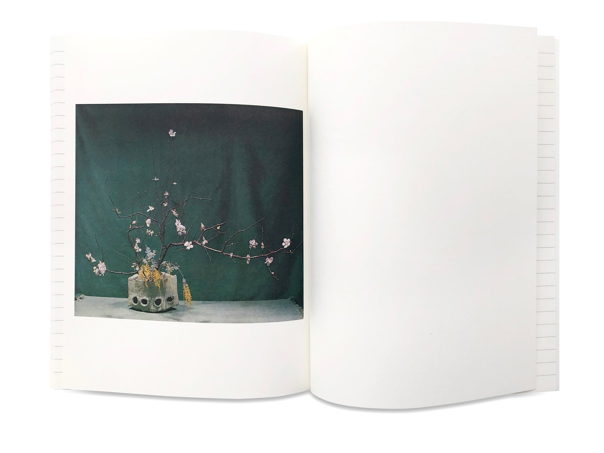 Ikebana - An IDEA Book