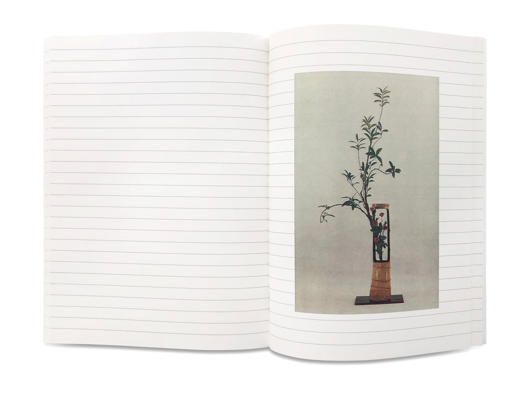 Ikebana - An IDEA Book