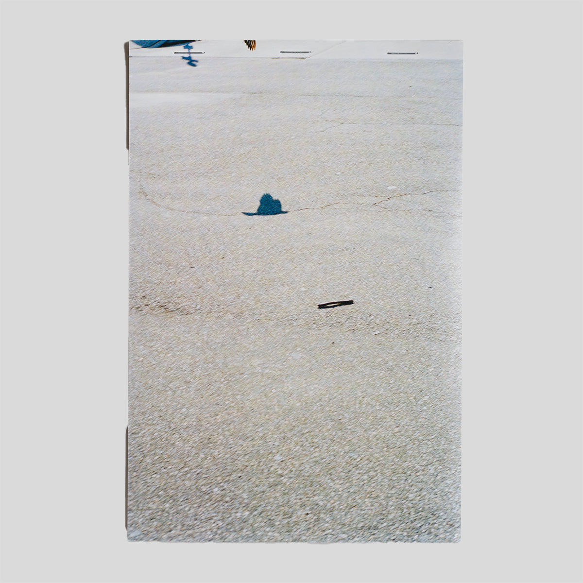 Pigeon and Puddle - Björn Allemann