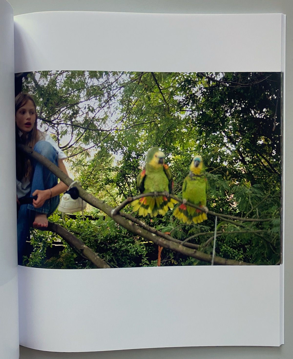 洋書 Angela Hill: Sylvia Sylvia Zine - Angela Hill – Cahier Central