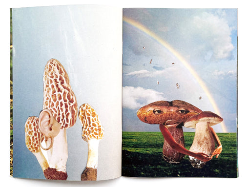 Hybrids and Mushroom friends - Seana Gavin