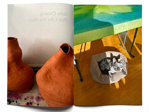 Run Like the Rain - Julia Chiang