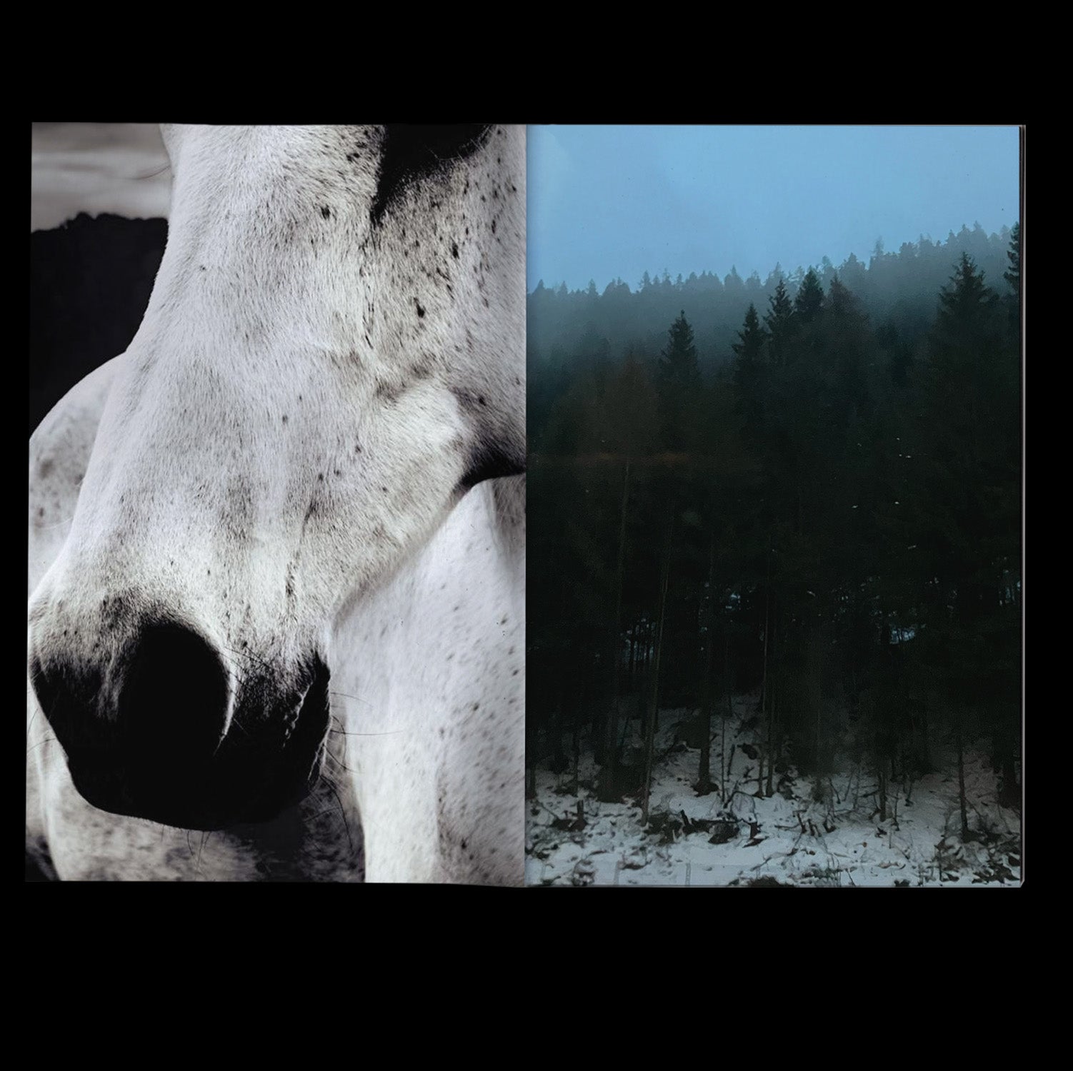 Romantic Warriors - Maria Aït Abdellah & Marc Azoulay