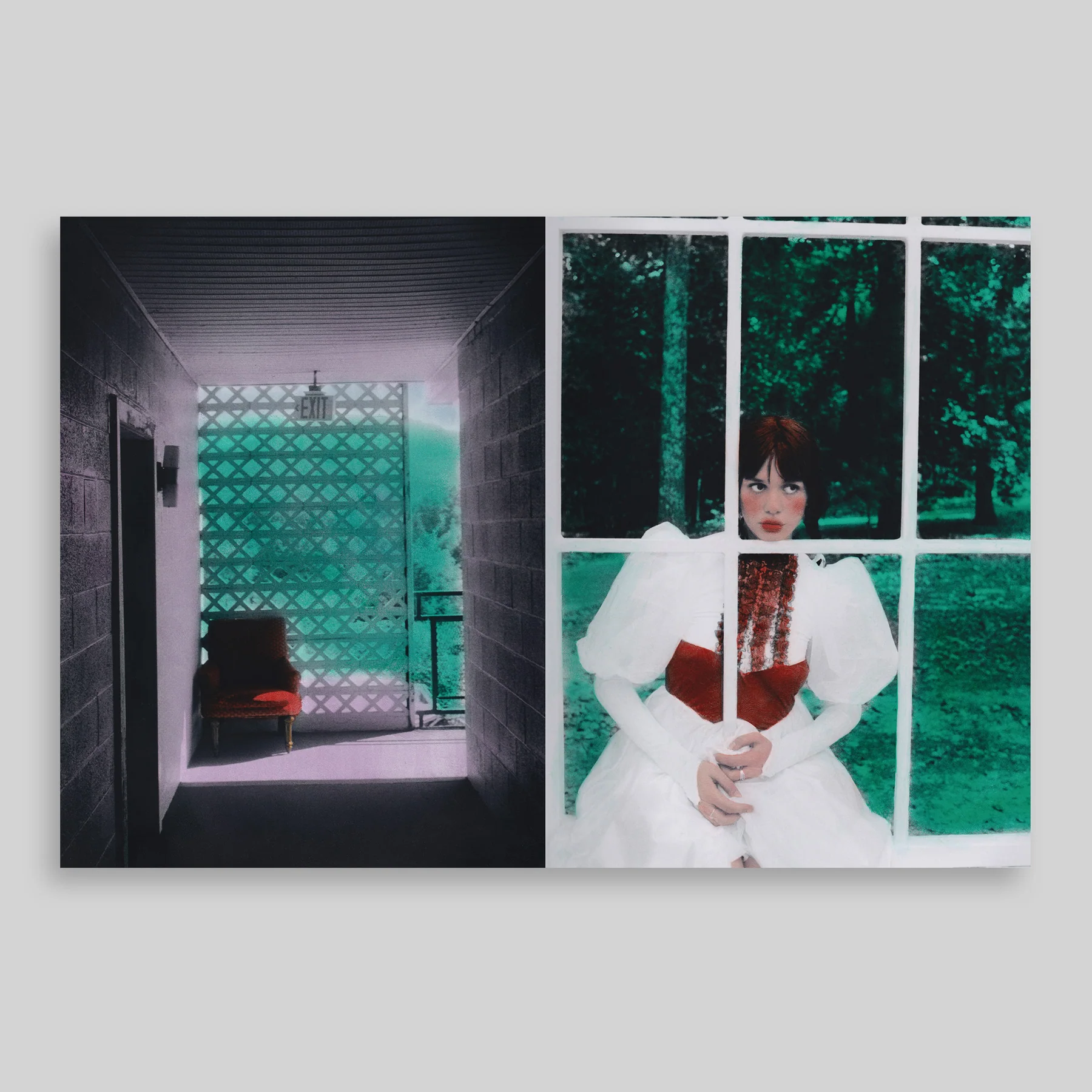 American Album - Eloïse Labarbe-Lafon
