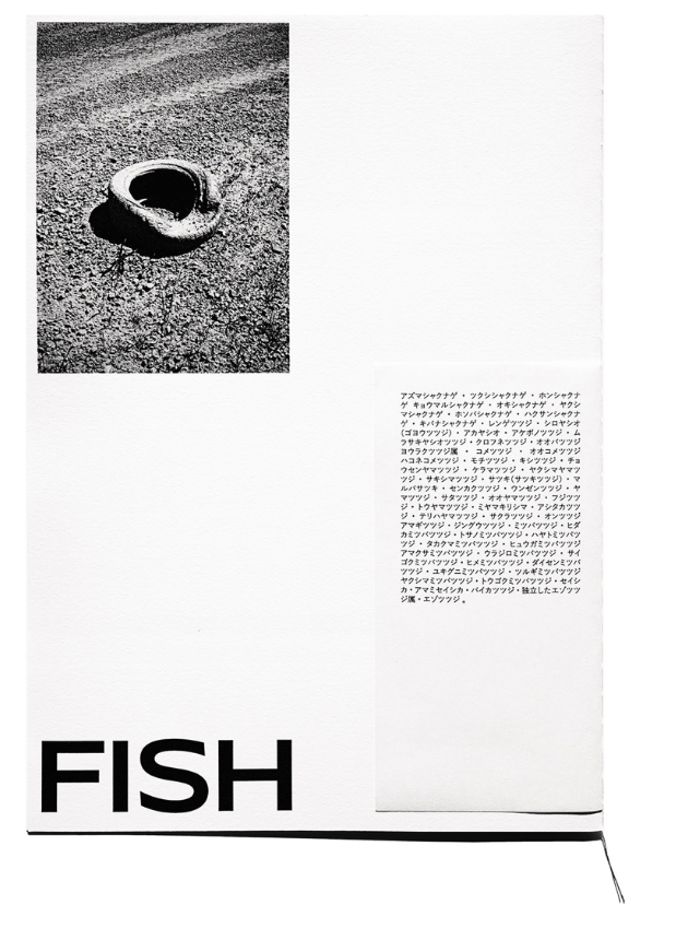 Dirty fish — Léa Abaroa