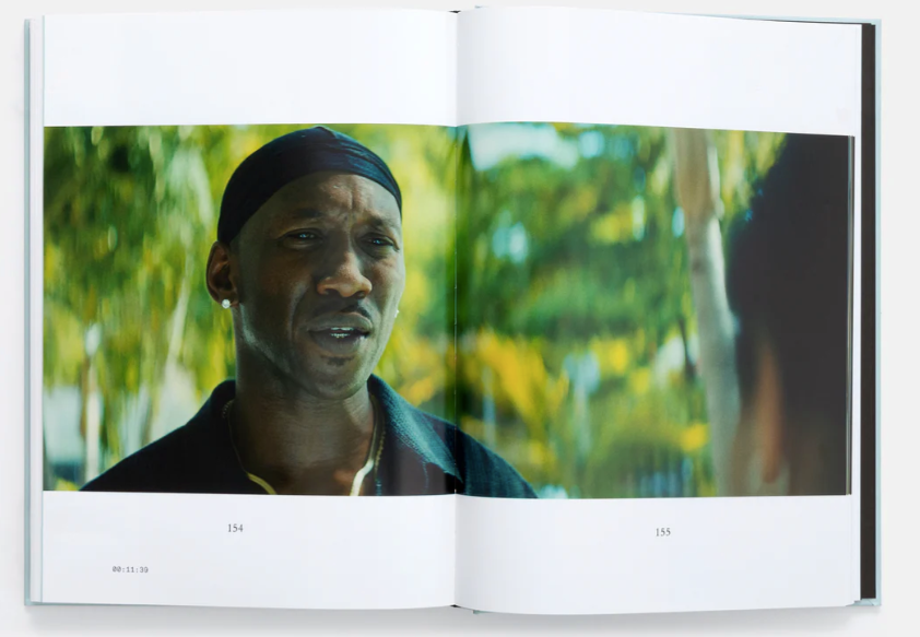 Moonlight Screenplay Book