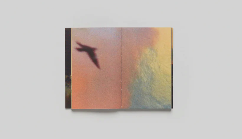 LES OISEAUX - Lola Raban, Jean-René Etienne