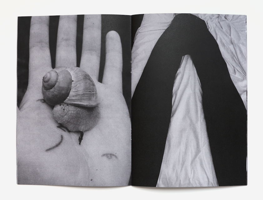 Zu Spät - Baptiste Visentin