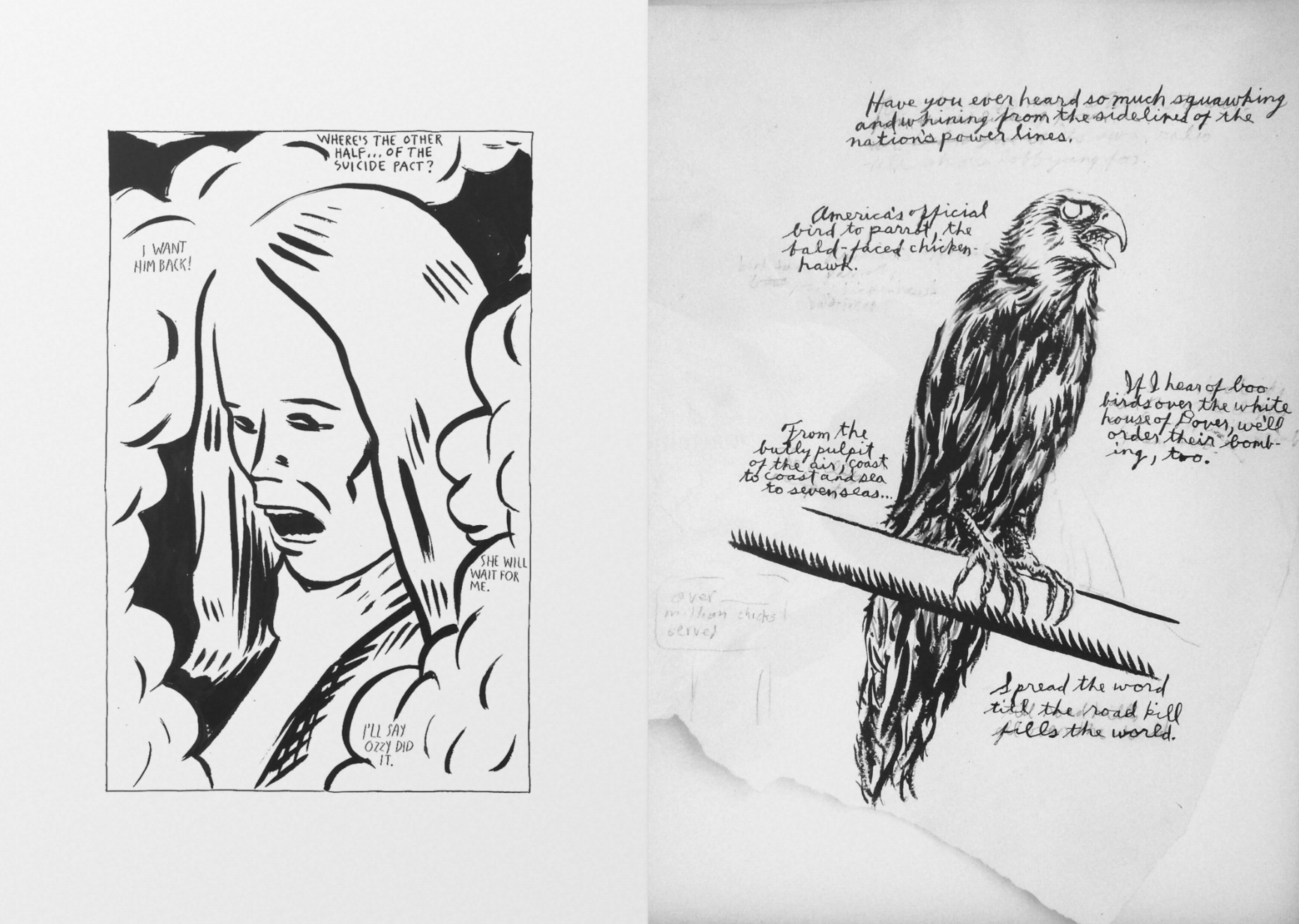 Selected Works from 1982 to 2011 - Raymond Pettibon