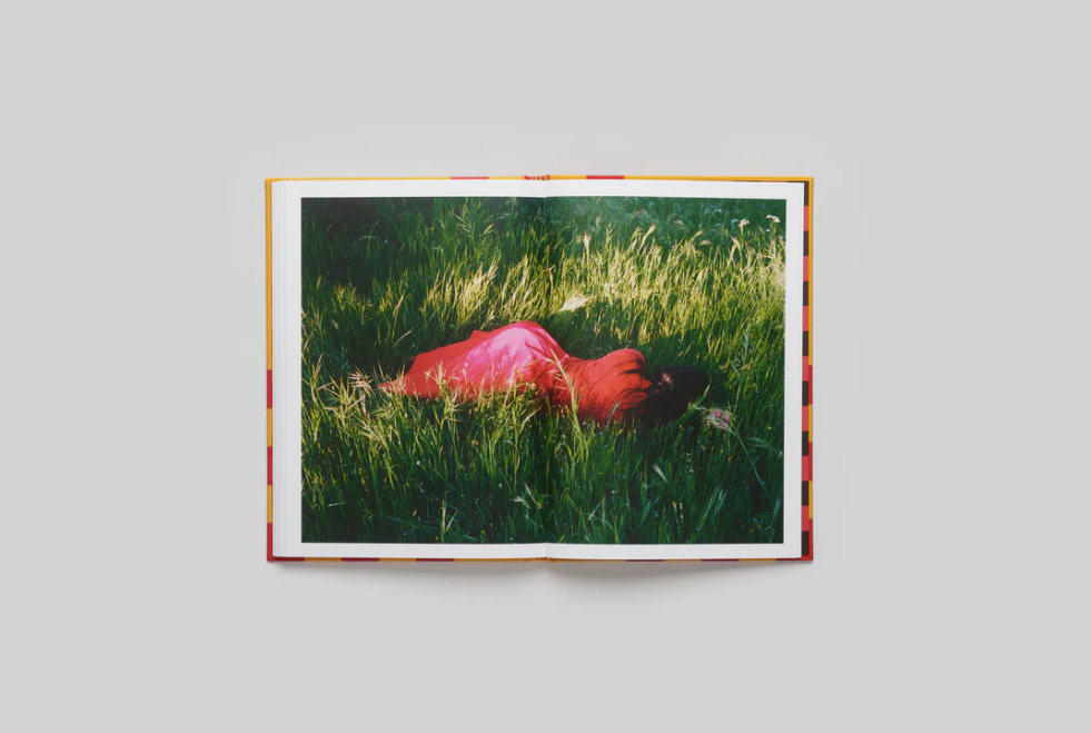 CATSELLO DI CASOLE - Cecy Young