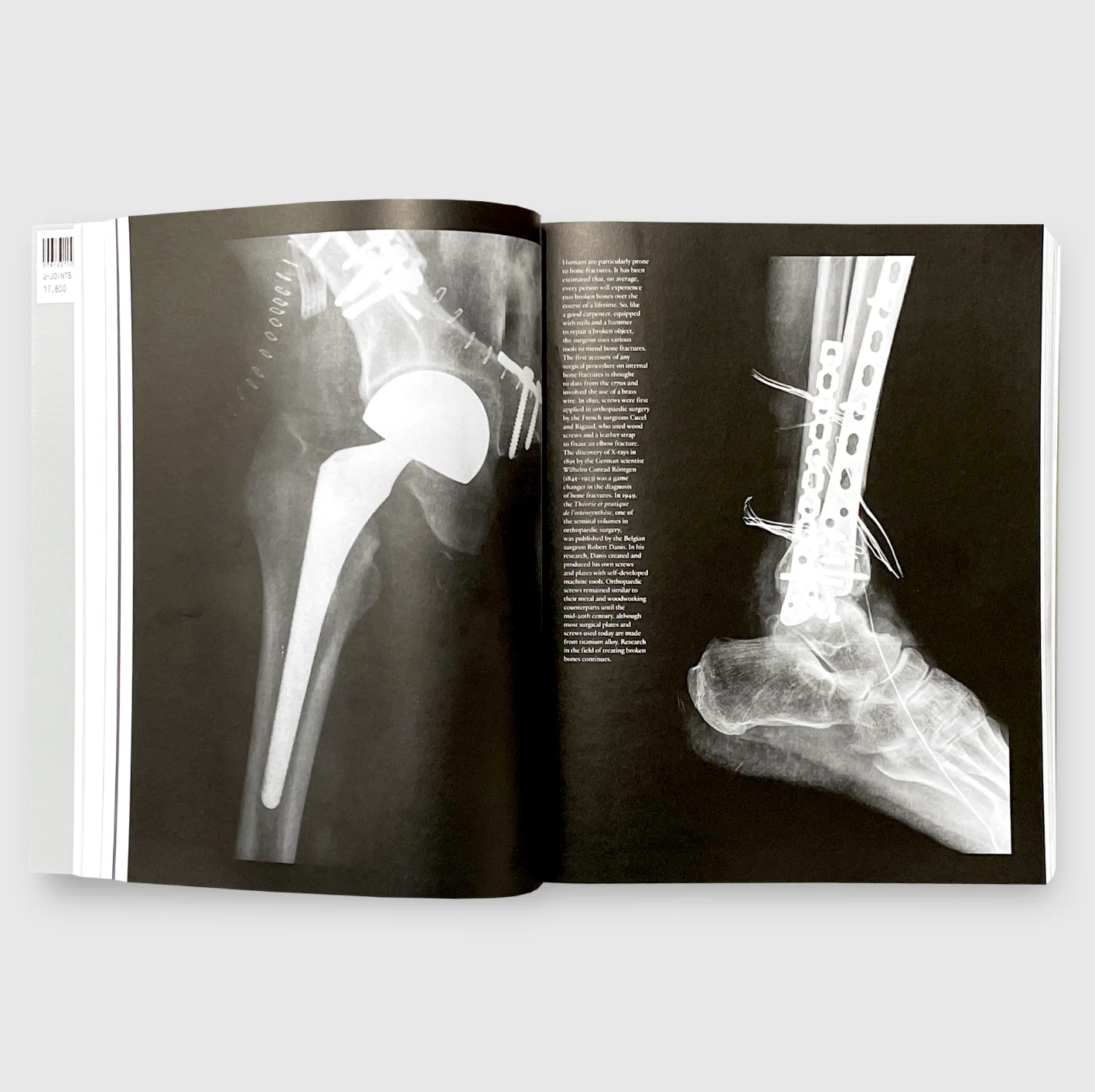 U-JOINTS - Andrea CAPUTO & Anniina KOLVU