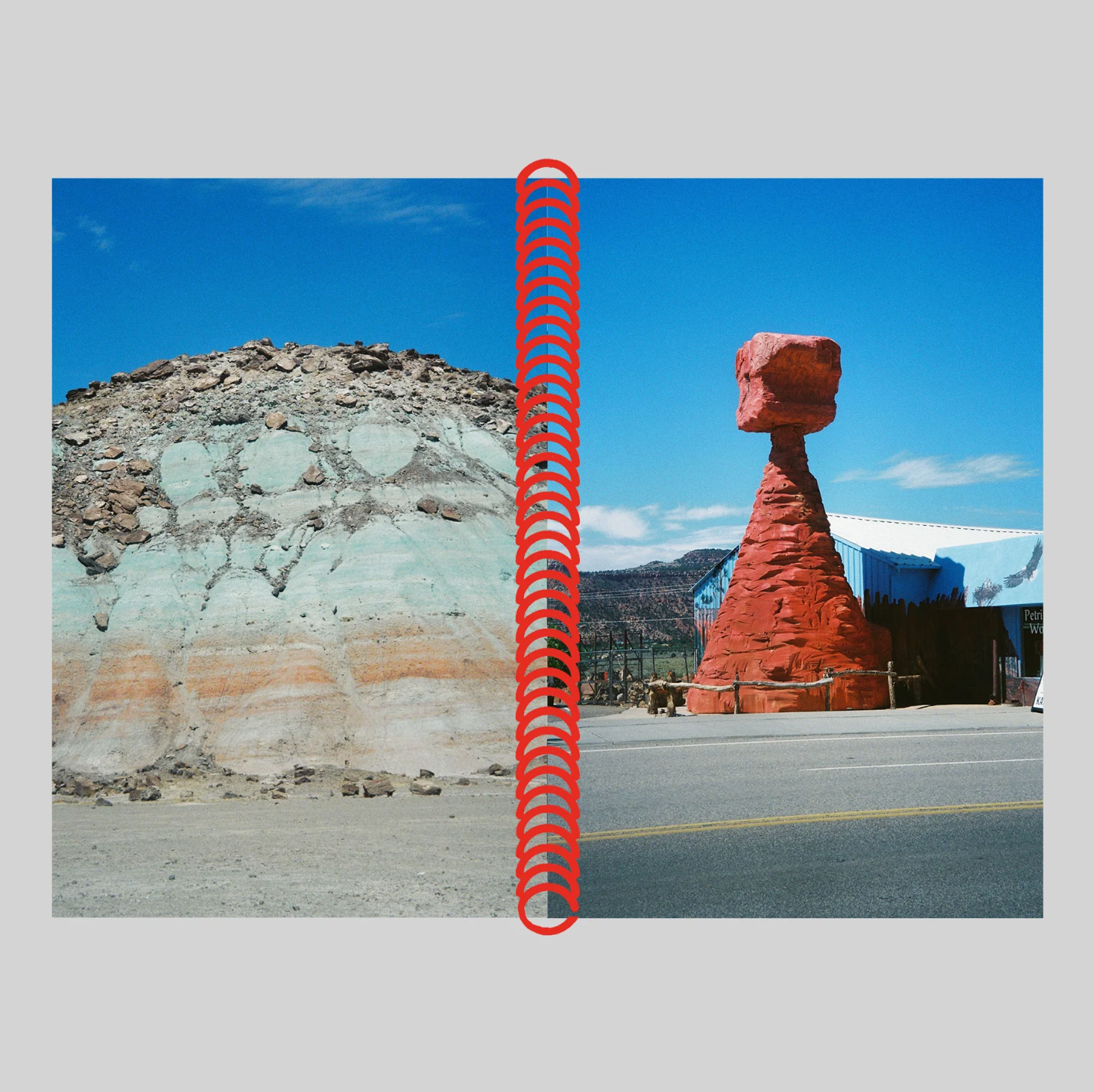 DESERT GRILL DOLLAR TREE FOSSILS TRAP - Louise Mutrel