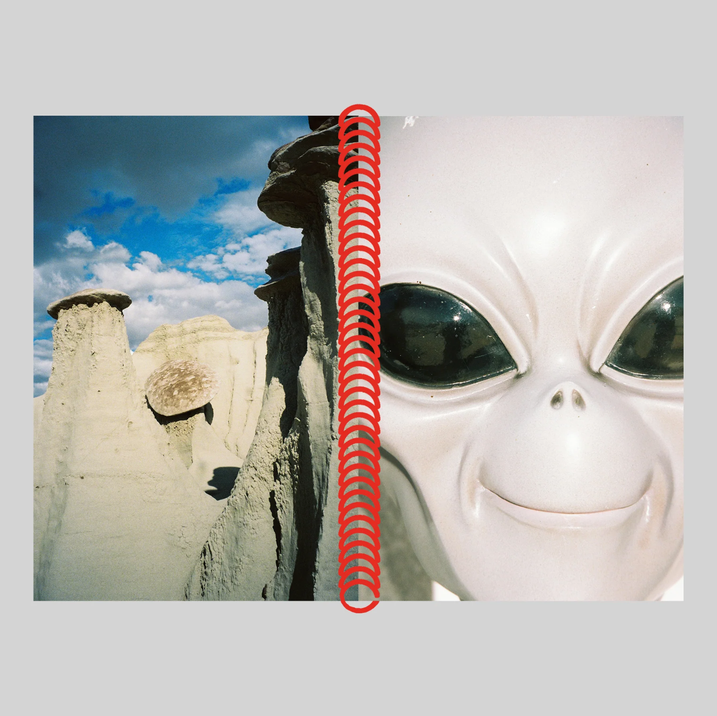 DESERT GRILL DOLLAR TREE FOSSILS TRAP - Louise Mutrel