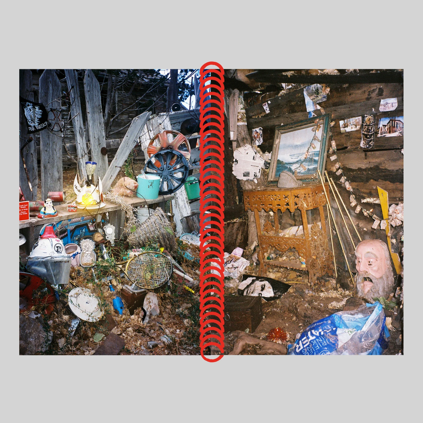 DESERT GRILL DOLLAR TREE FOSSILS TRAP - Louise Mutrel