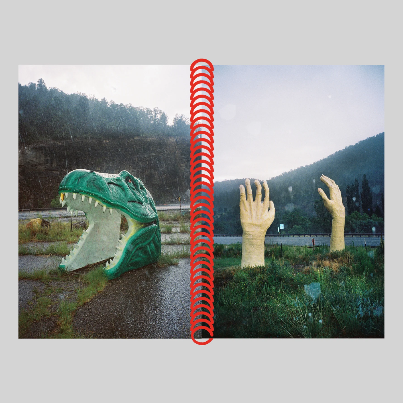 DESERT GRILL DOLLAR TREE FOSSILS TRAP - Louise Mutrel