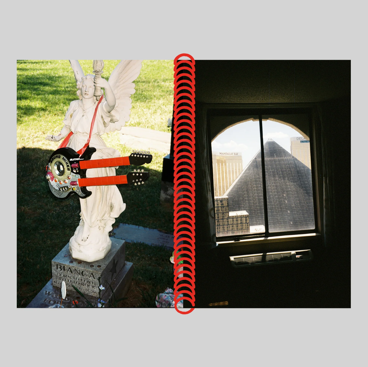 DESERT GRILL DOLLAR TREE FOSSILS TRAP - Louise Mutrel