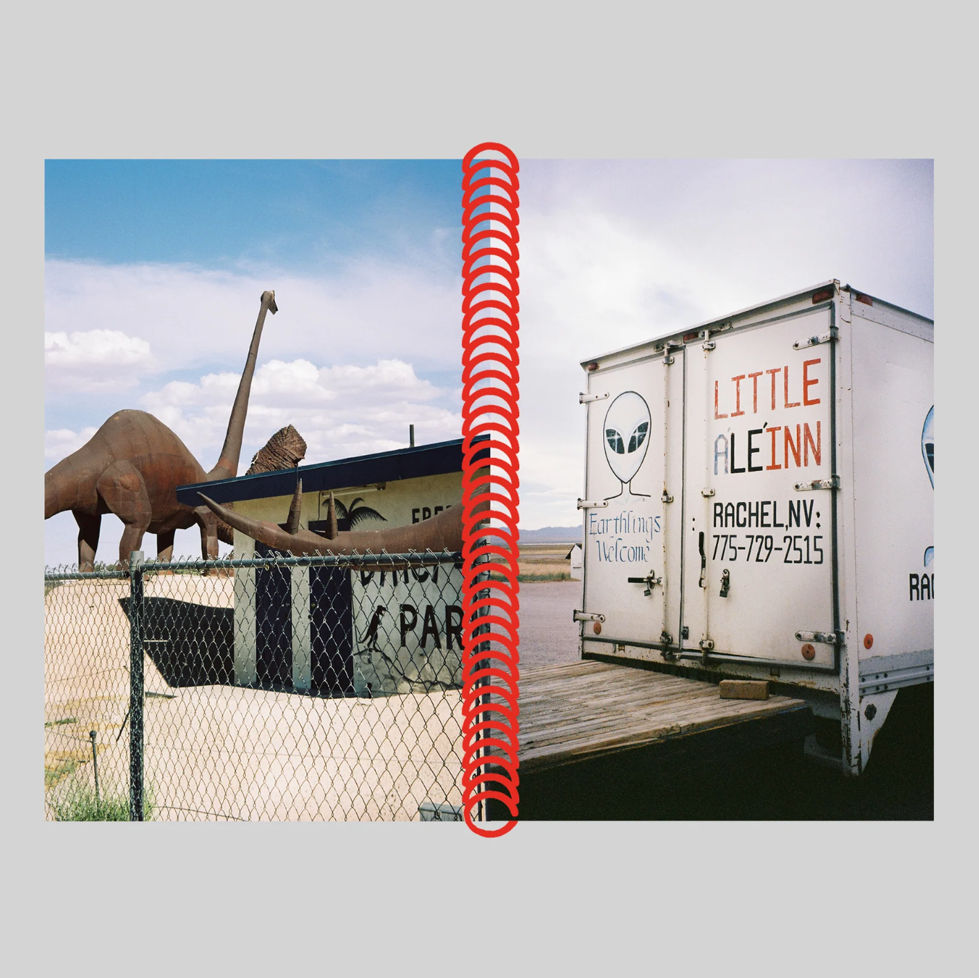 DESERT GRILL DOLLAR TREE FOSSILS TRAP - Louise Mutrel