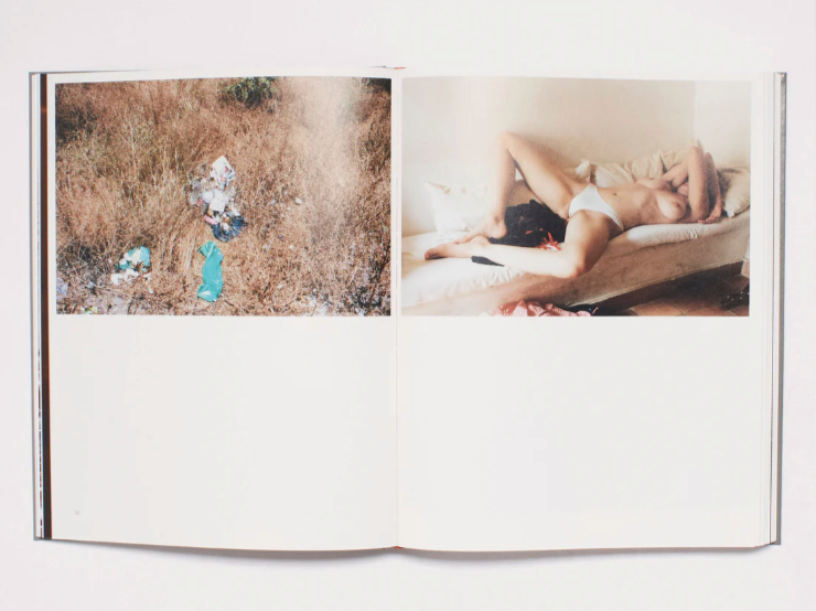 Geography - Zora Sicher