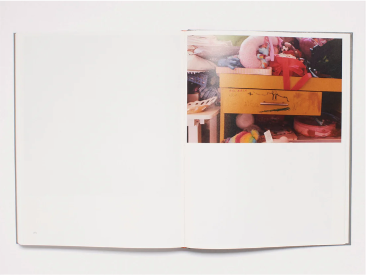 Geography - Zora Sicher