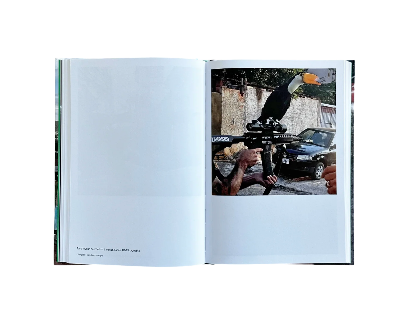 favela narco pets 3 洋書 写真集 ドキュメンタリー favela narco pets