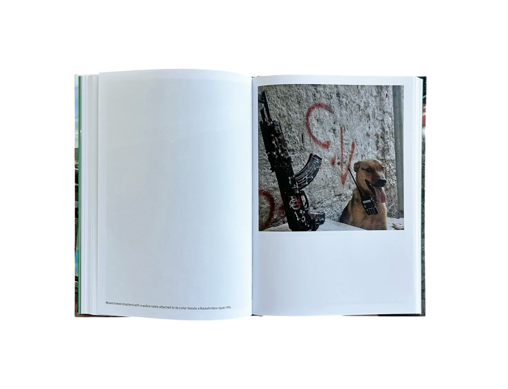 FAVELA NARCO PETS – Cahier Central