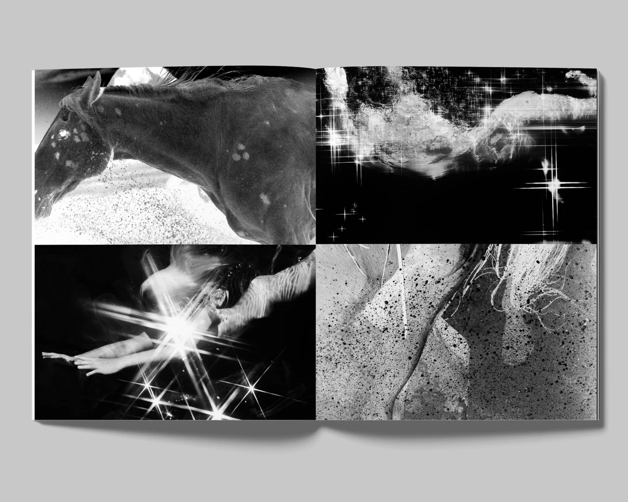 The Days - David Black