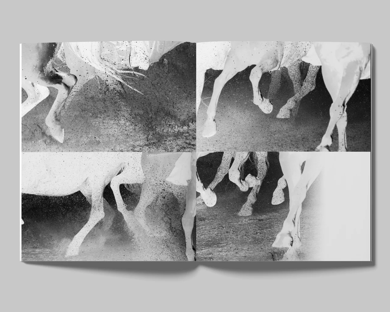 The Days - David Black