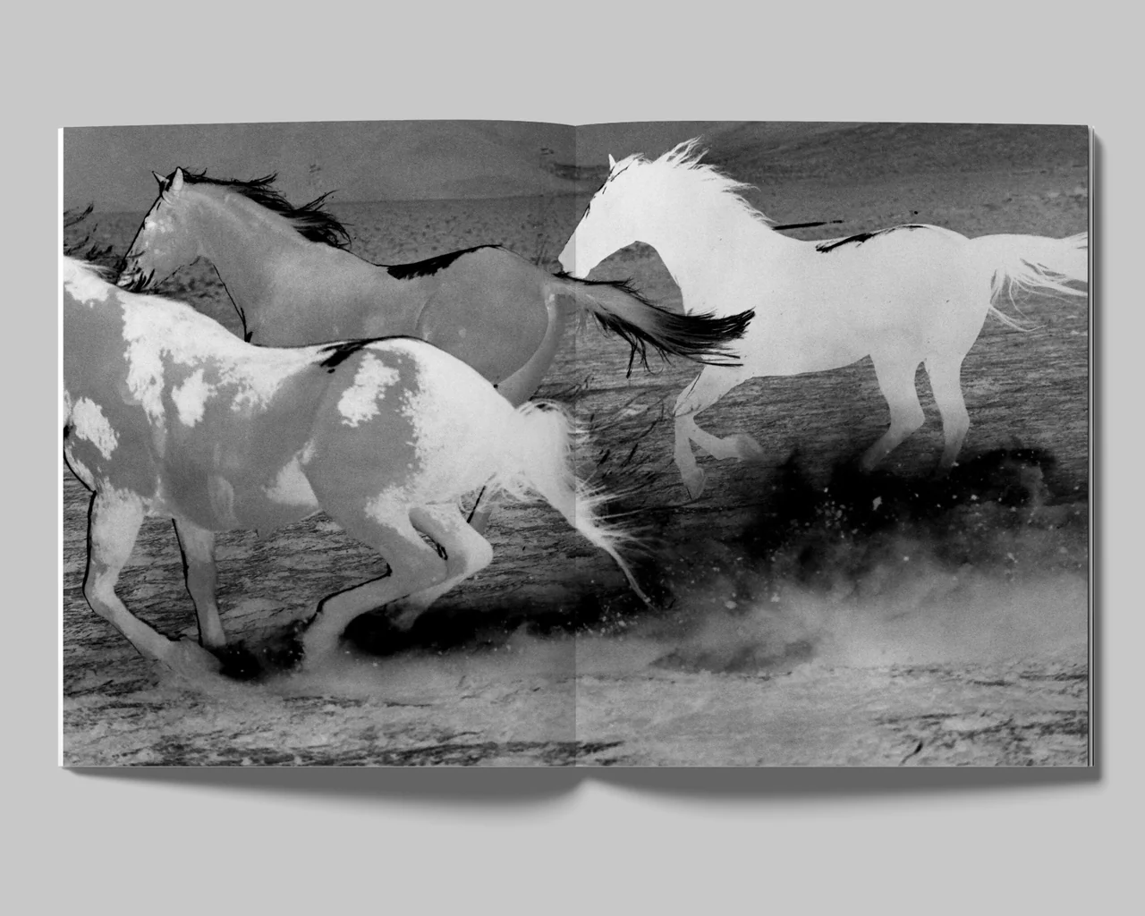 The Days - David Black