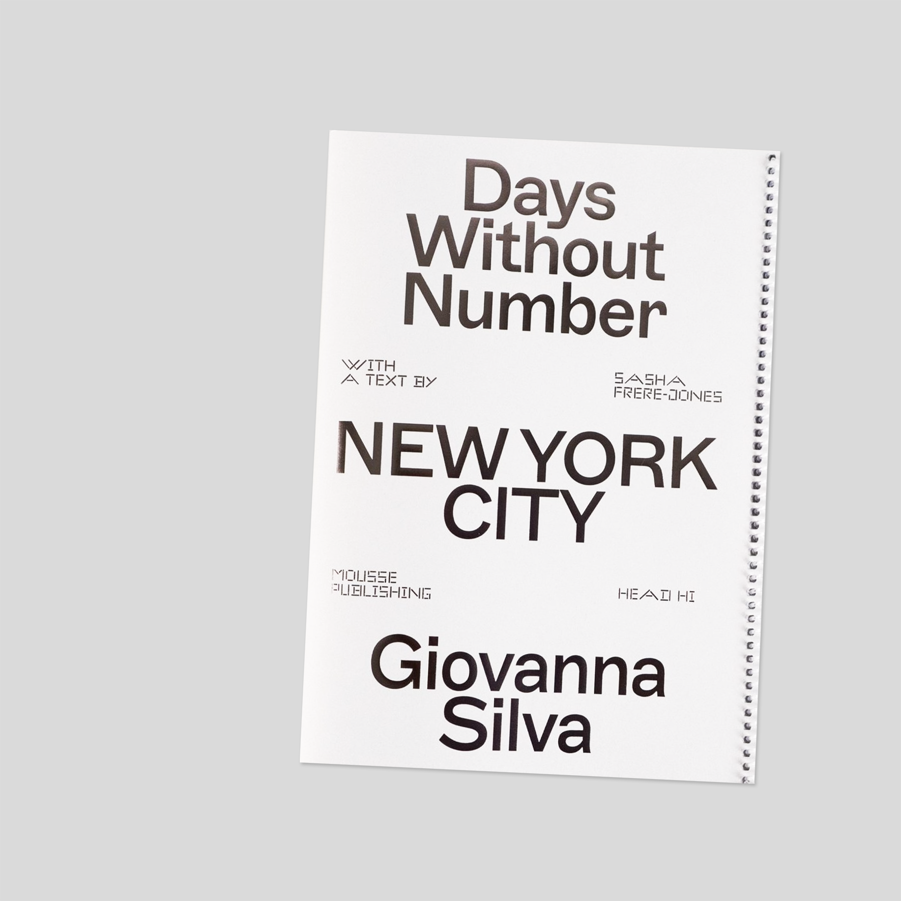 Days Without Number - Giovanna Silva