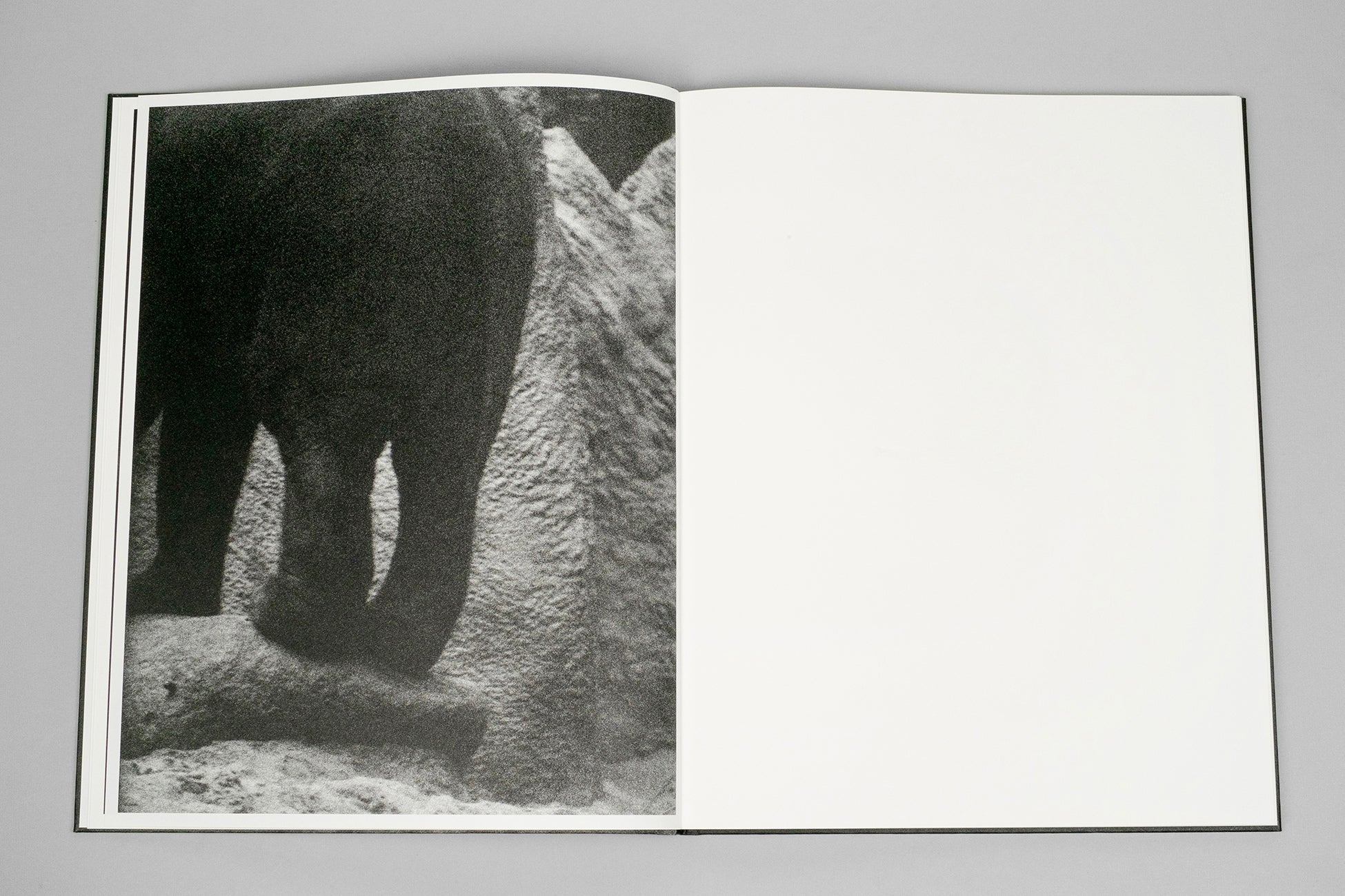 Entendue - Charlotte Dumas