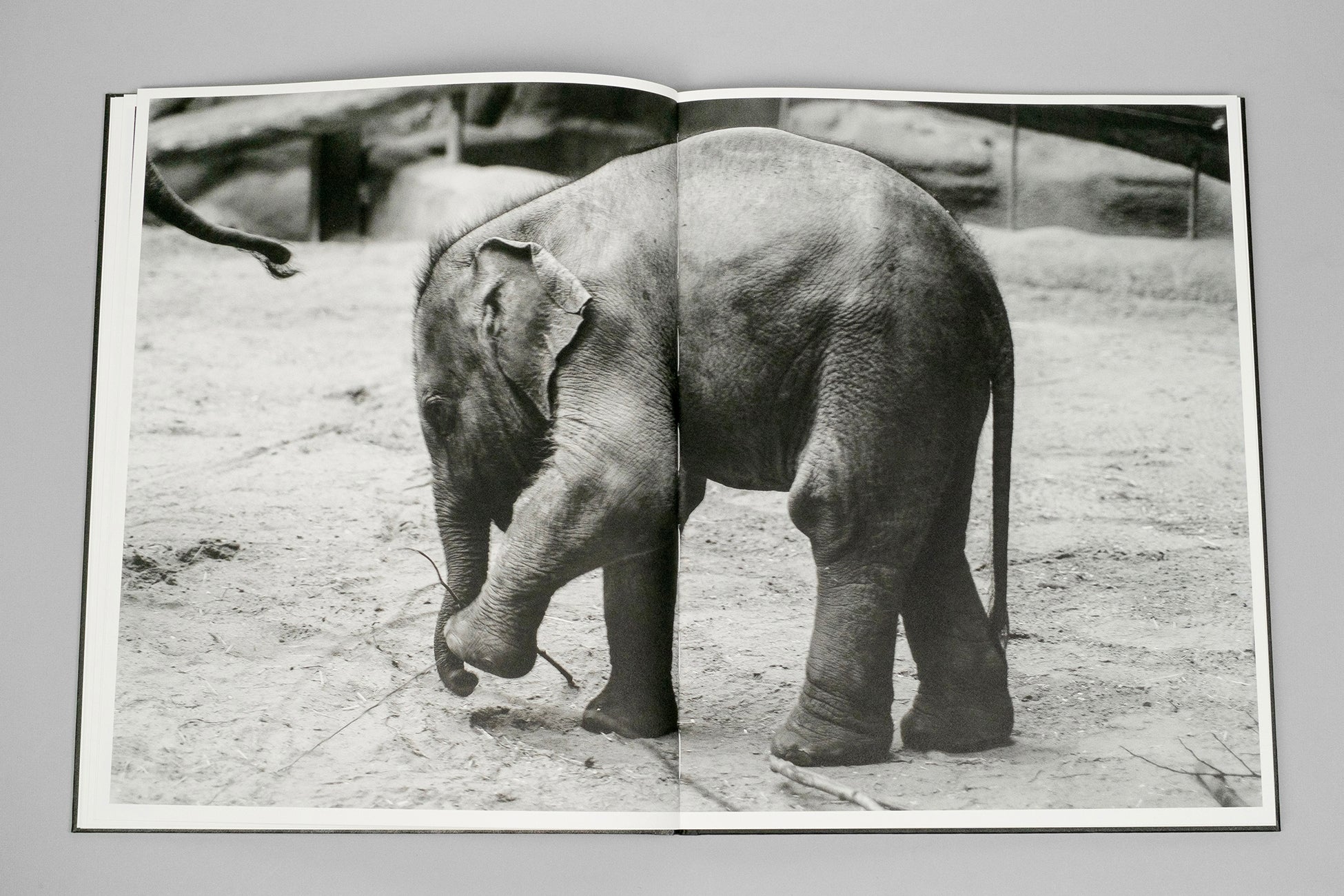 Entendue - Charlotte Dumas