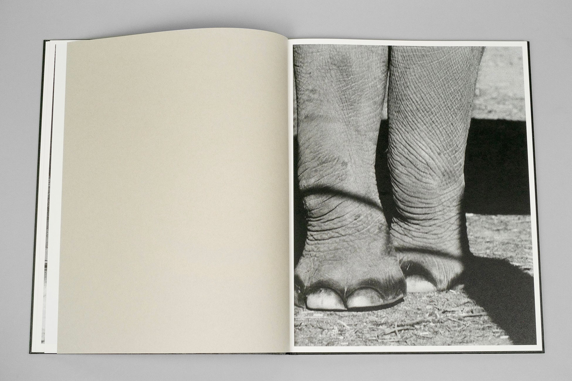 Entendue - Charlotte Dumas