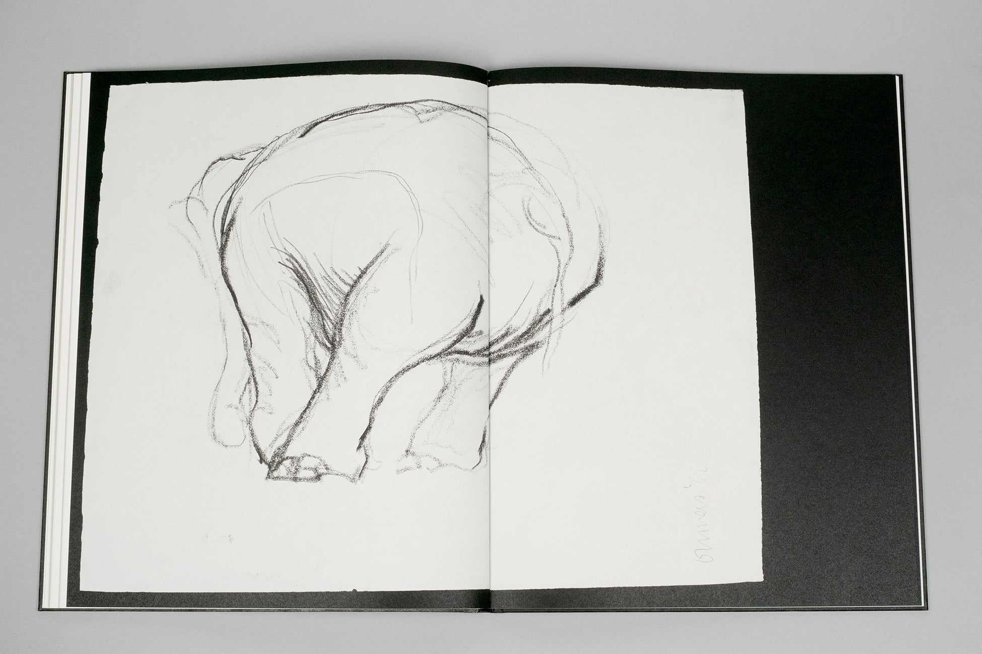 Entendue - Charlotte Dumas