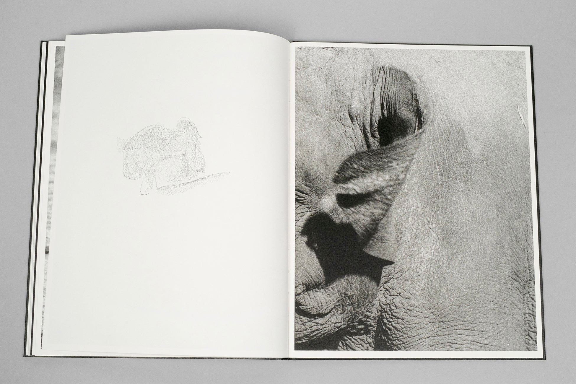 Entendue - Charlotte Dumas