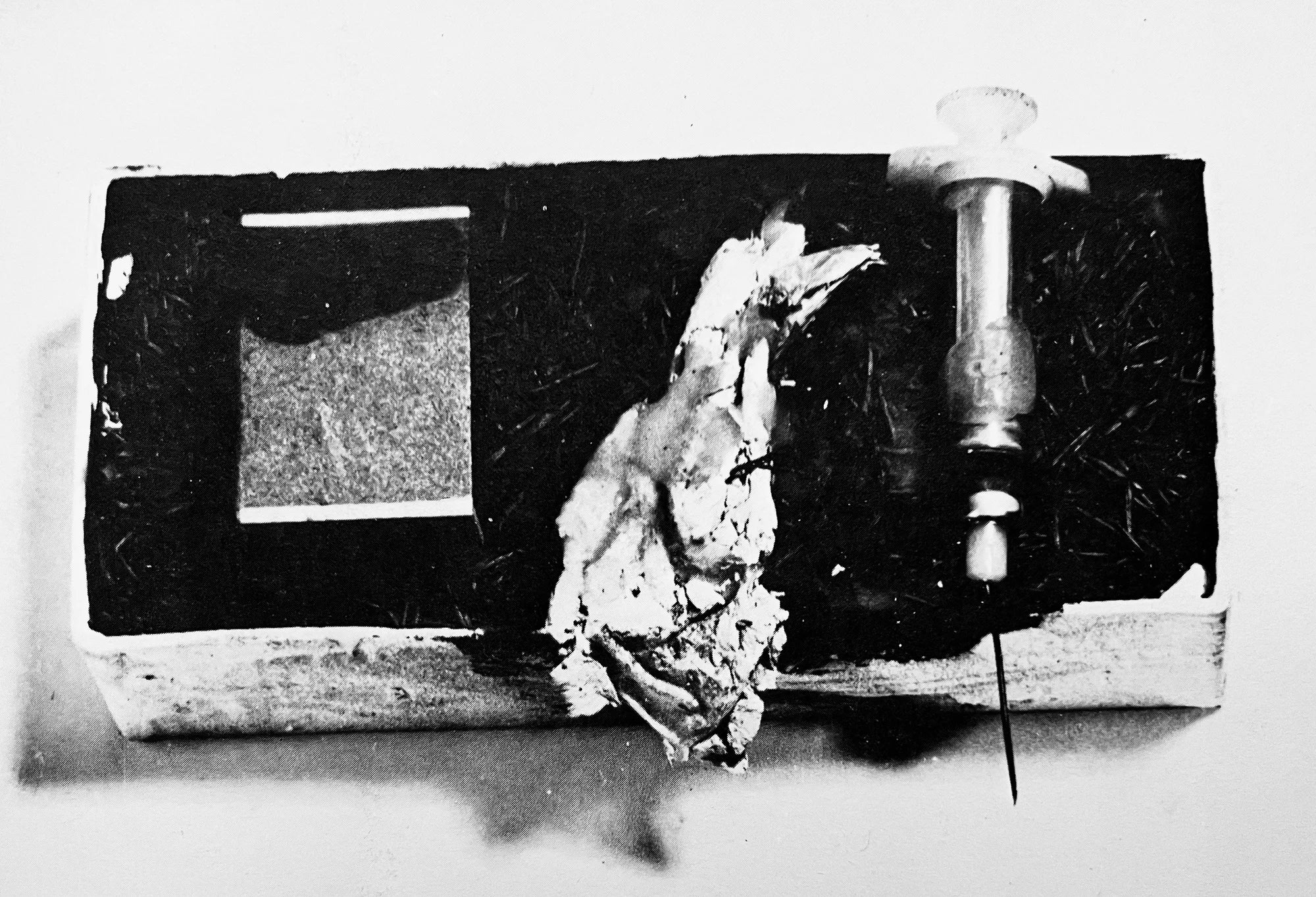 Joseph Beuys und die Medizin