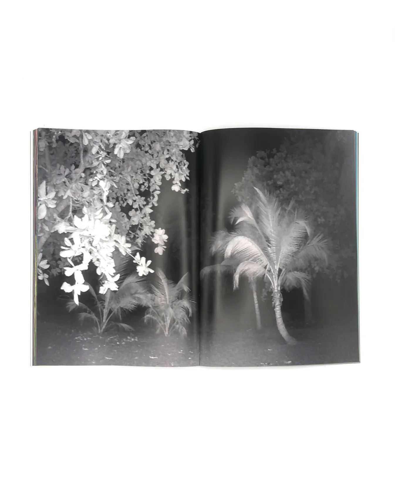 WHY ARE YOU RUNNING? - KENNY DUNKAN